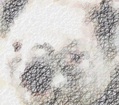 Double Net